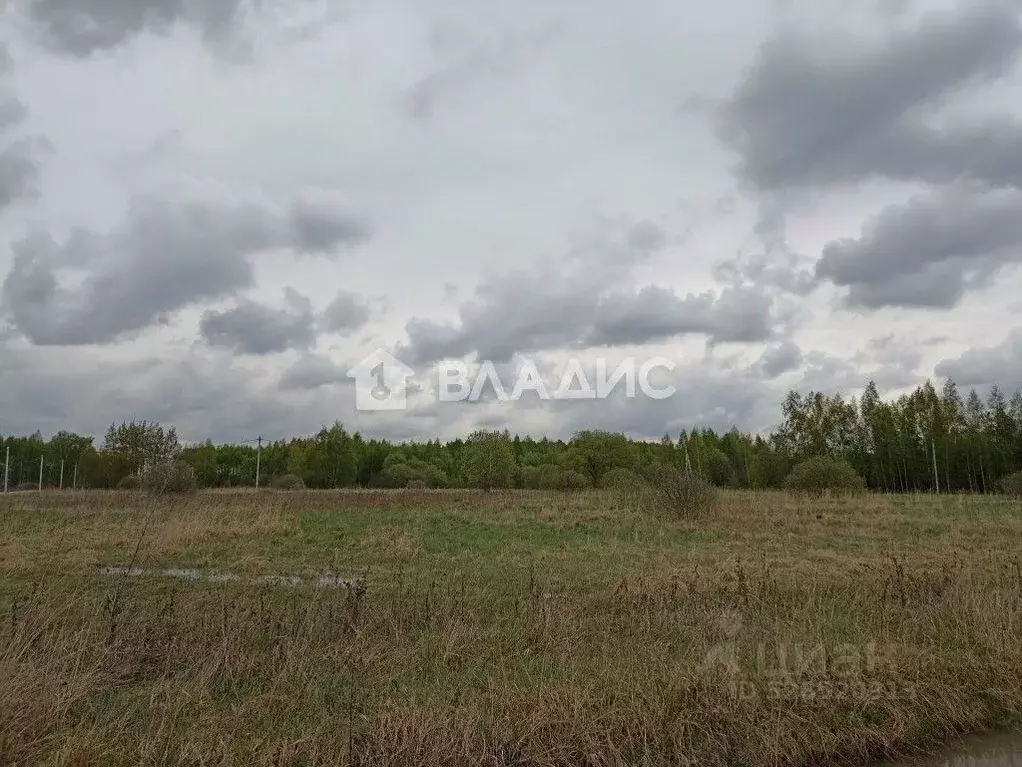 Участок в Московская область, Раменский муниципальный округ, с. ... - Фото 1