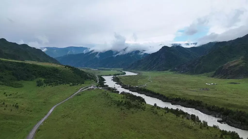 Участок в Алтай, Чемальский район, Куюсское с/пос  (30.0 сот.) - Фото 2