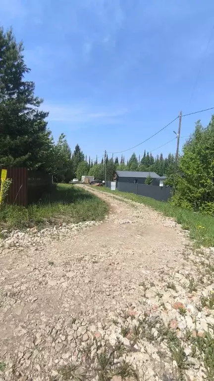 Участок в Пермский край, Пермский муниципальный округ, д. Усть-Тары ... - Фото 2