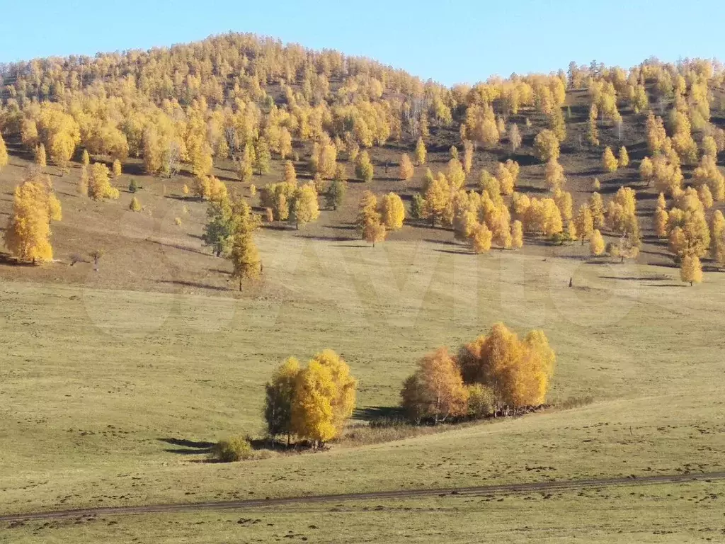 Участок 1,5 га (СНТ, ДНП) - Фото 1