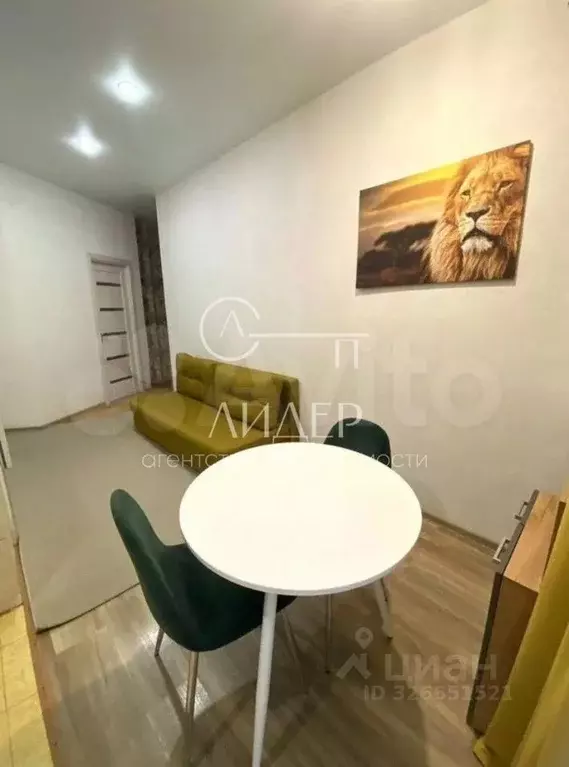 1-к кв. Краснодарский край, Сочи Яна Фабрициуса мкр, ул. Метелева, 6/5 ... - Фото 2