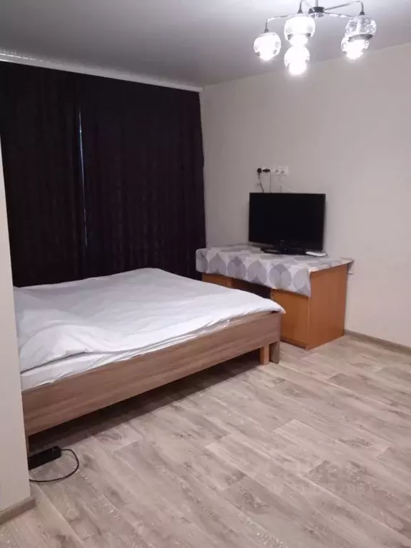 1-к кв. Псковская область, Псков Коммунальная ул., 10 (17.0 м) - Фото 1