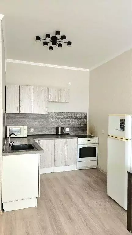 1-к кв. Ленинградская область, Всеволожский район, Заневское городское ... - Фото 2