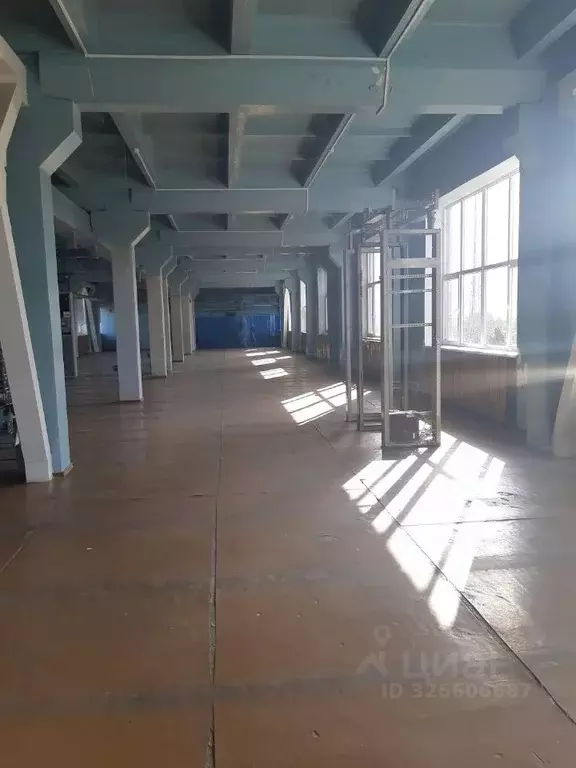 Помещение свободного назначения в Ростовская область, Шахты просп. ... - Фото 1