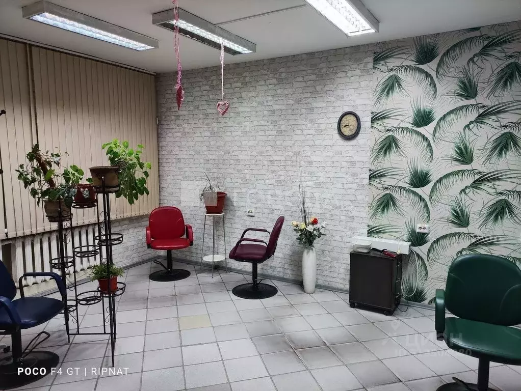 Офис в Новосибирская область, Новосибирск ул. Стофато, 1А (110 м) - Фото 0