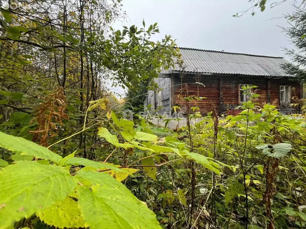 Дом в Прионежский район, село Шёлтозеро, Загородная улица, 19 (86.8 м) - Фото 1