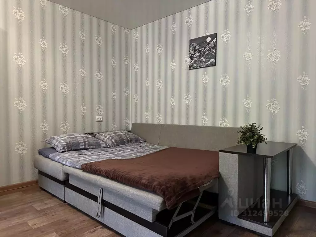 1-к кв. Ставропольский край, Ессентуки Пятигорская ул., 142 (27.0 м) - Фото 0