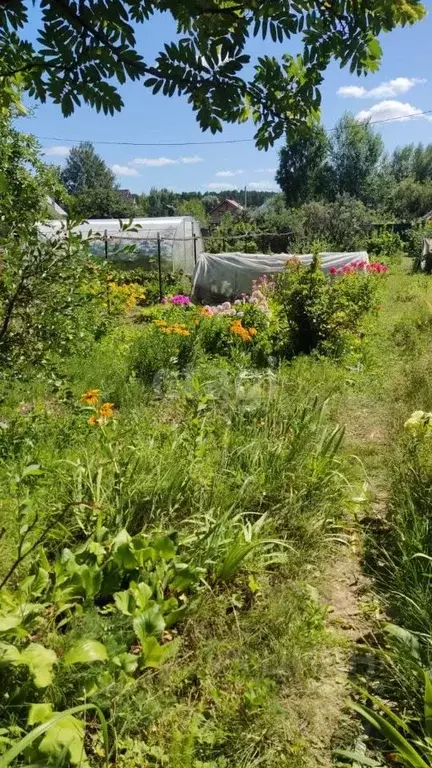 Дом в Новосибирская область, Новосибирск Дельфин СНТ, 41 (10 м) - Фото 0