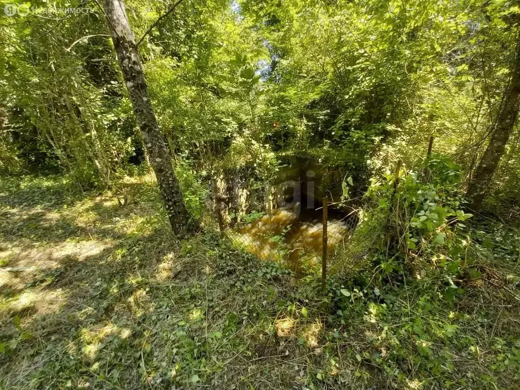 Участок в Краснодарский край, Геленджик (10 м) - Фото 0