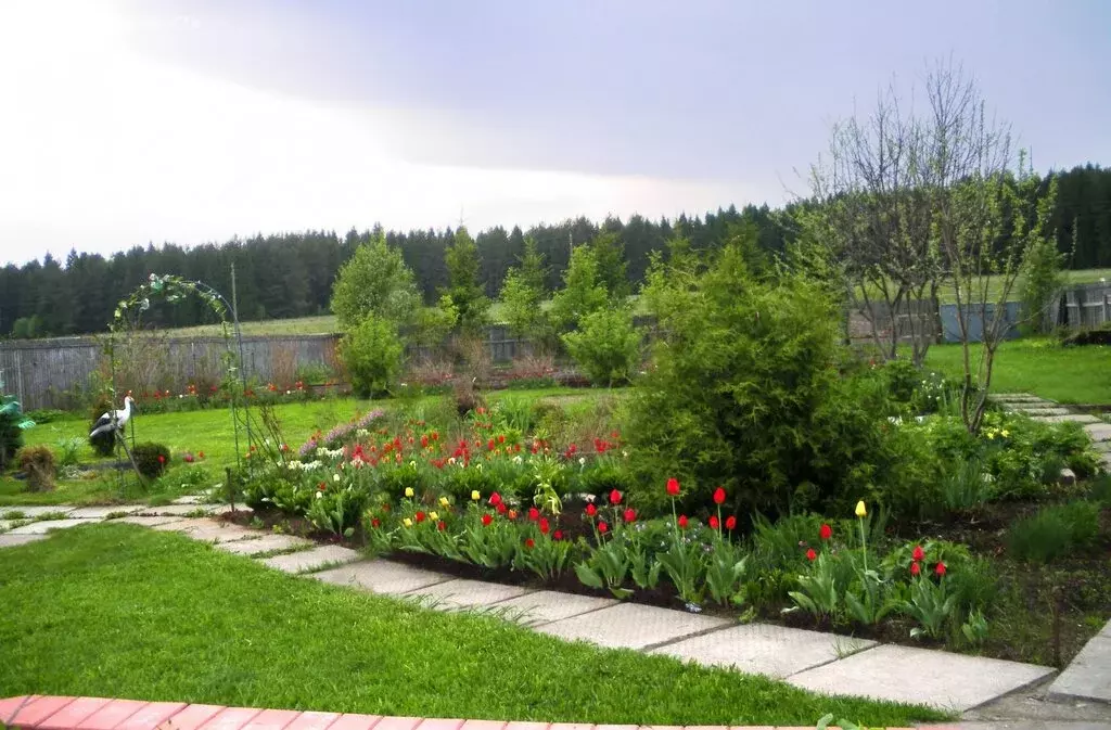 Дом в Шиховское сельское поселение, деревня Машкачи, Центральная ... - Фото 2