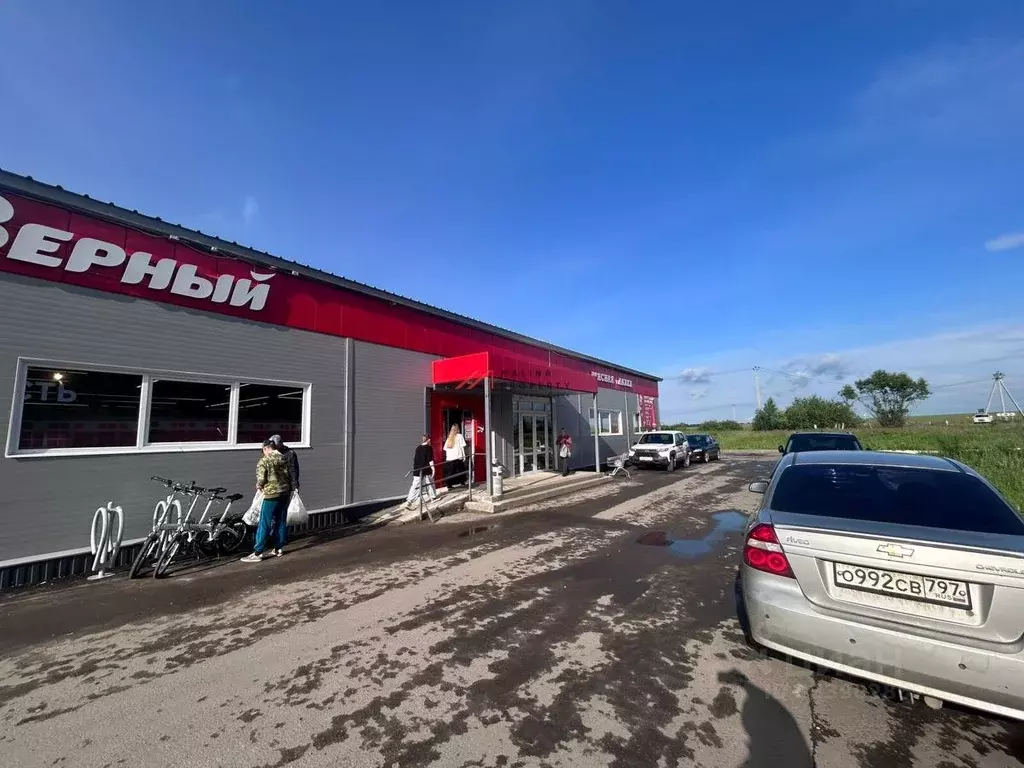 Торговая площадь в Московская область, Коломна городской округ, с. ... - Фото 2