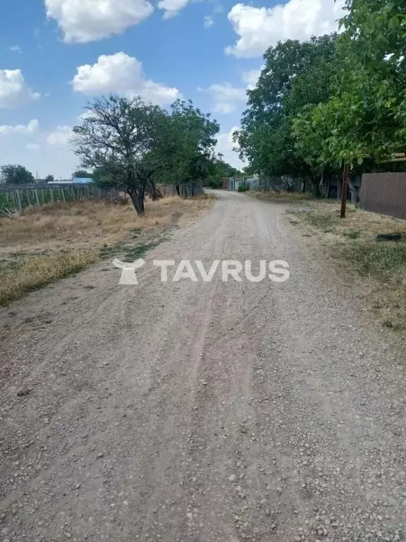 Участок в Крым, Симферопольский район, Трудовское с/пос, Припять СНТ ... - Фото 2