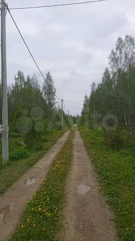 Участок 20 сот. (СНТ, ДНП) - Фото 1
