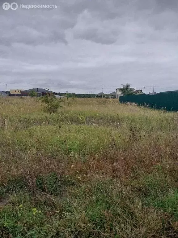 Участок в село Новая Усмань, улица Кулибина, 94 (10 м) - Фото 2