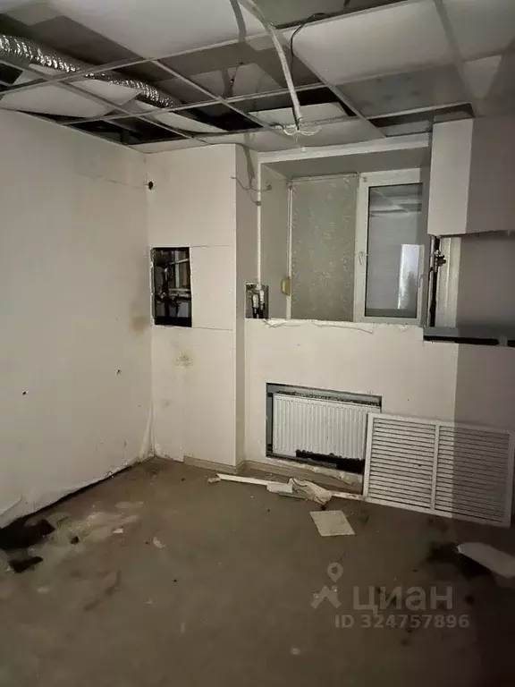 Помещение свободного назначения в Удмуртия, Ижевск ул. 9 Января, 241 ... - Фото 1