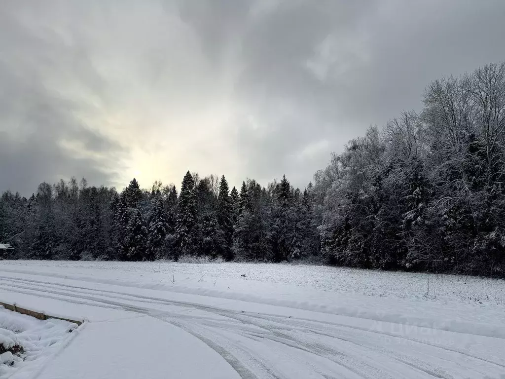 Участок в Московская область, Пушкинский городской округ, д. Нагорное  ... - Фото 0