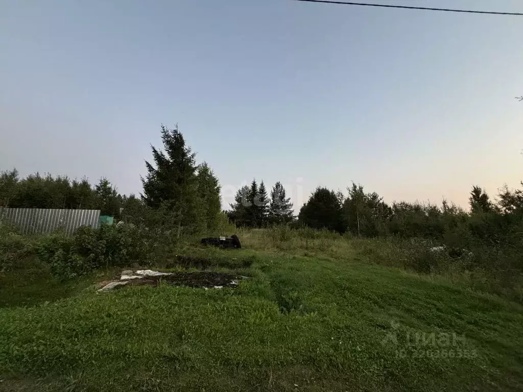 Участок в Коми, Сыктывдинский район, с. Выльгорт, Клен СТ 164 (10.0 ... - Фото 1