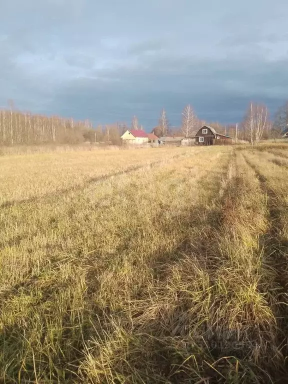 Участок в Костромская область, Костромской район, Середняковское ... - Фото 0