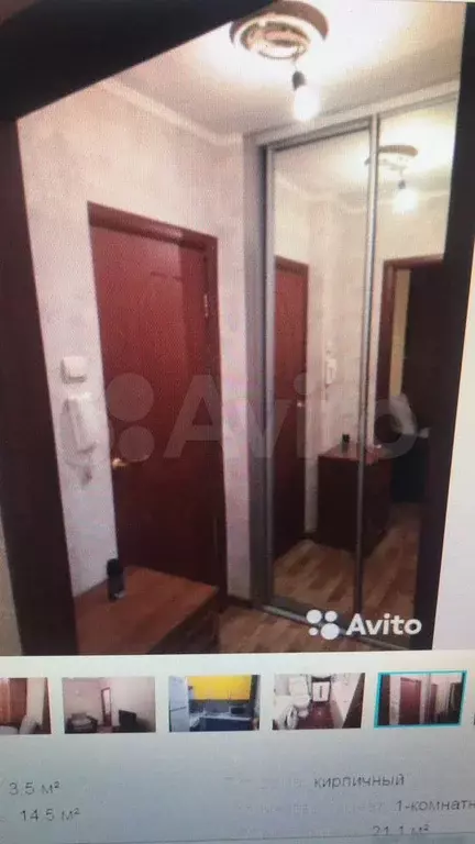 1-к. квартира, 22,5 м, 8/9 эт. - Фото 1
