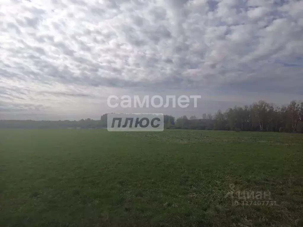 Участок в Ивановская область, Лежневский район, Сабиновское с/пос, с. ... - Фото 1