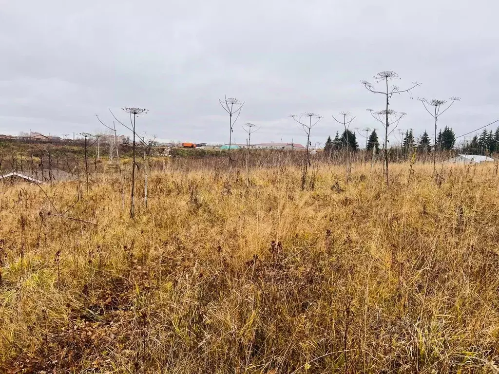 Участок в Коми, Сыктывдинский район, с. Выльгорт ул. Малая (10.0 сот.) - Фото 2