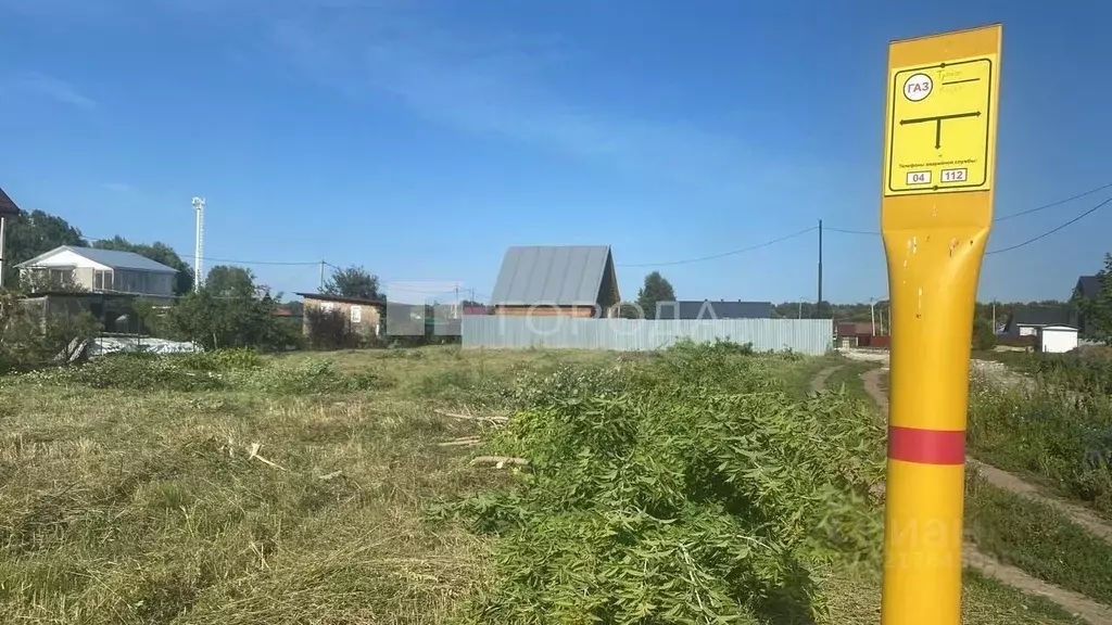Участок в Новосибирская область, Новосибирский район, Мичуринский ... - Фото 1