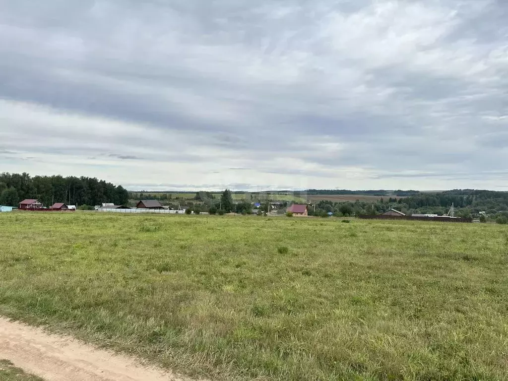 Участок в Пермский край, Чайковский городской округ, с. Большой Букор ... - Фото 1