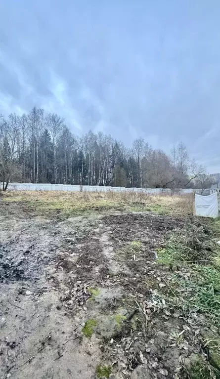 Участок в Москва № 20 кв-л,  (10.0 сот.) - Фото 1