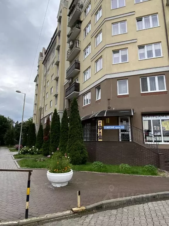 Офис в Калининградская область, Калининград Советский просп., 43 (12 ... - Фото 1