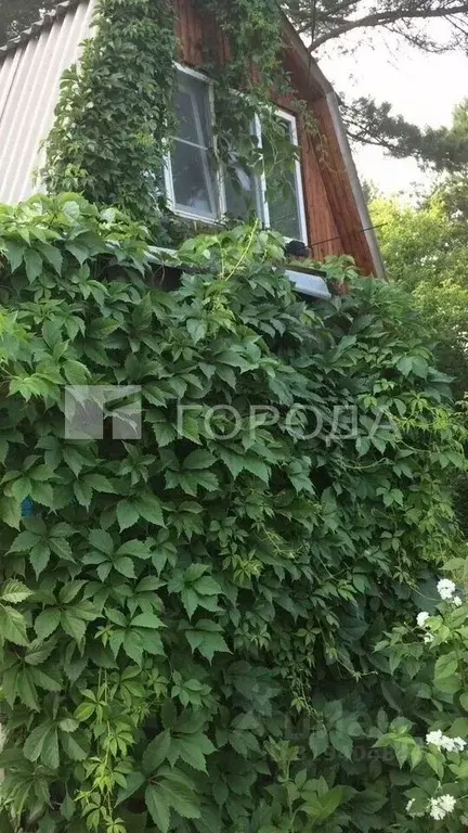 Дом в Новосибирская область, Новосибирск Пион садовое товарищество, ... - Фото 0