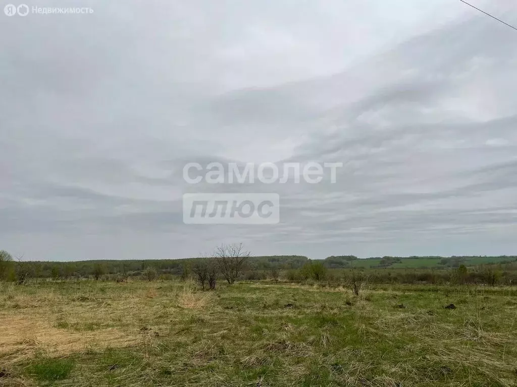 Участок в Ярославская область, Переславль-Залесский муниципальный ... - Фото 1