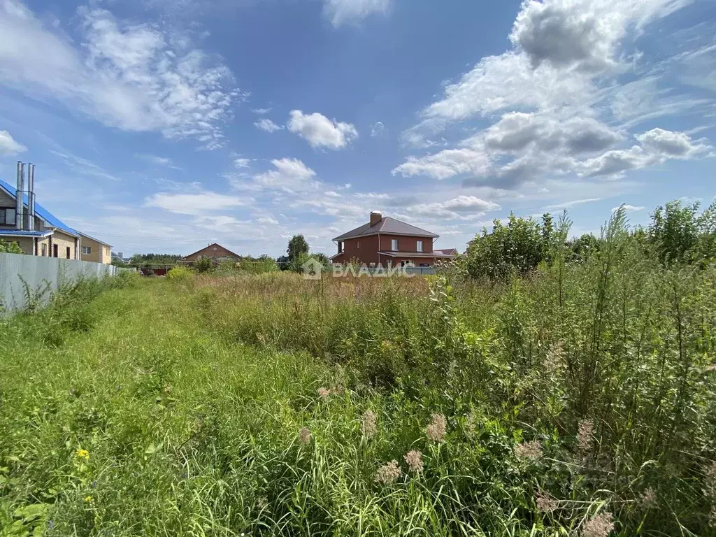 Участок в Нижегородская область, Богородский муниципальный округ, ... - Фото 2