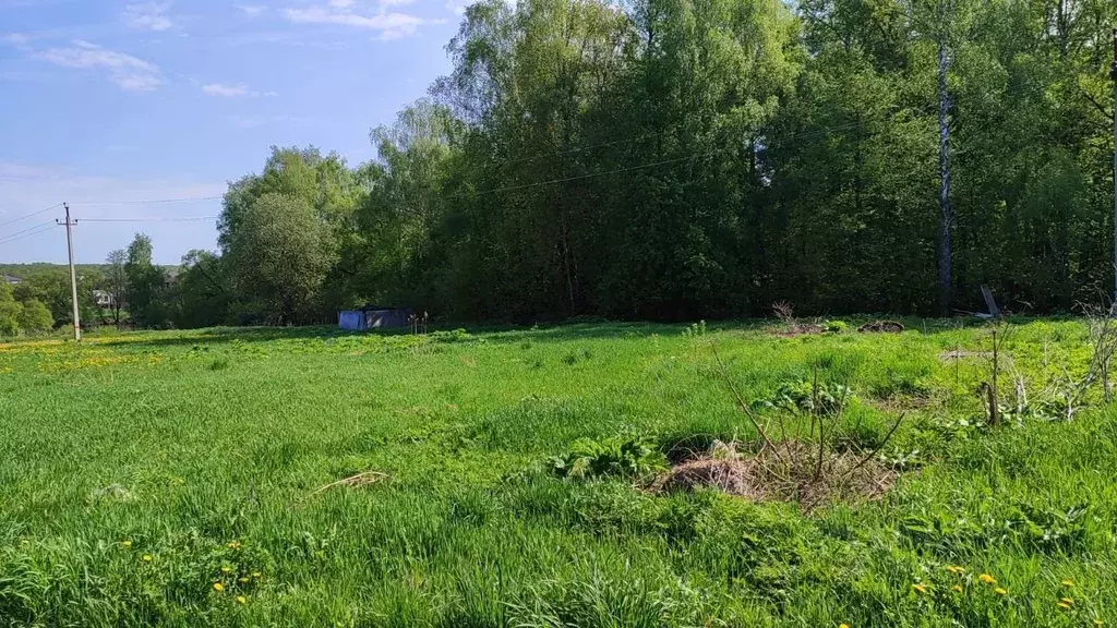 Участок в Московская область, Домодедово городской округ, д. Голубино ... - Фото 1