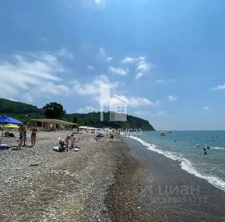 Участок в Краснодарский край, Геленджик городской округ, с. Криница ... - Фото 1