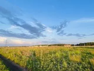 Участок в Липецкая область, Липецкий муниципальный округ, с. Ленино  ... - Фото 1