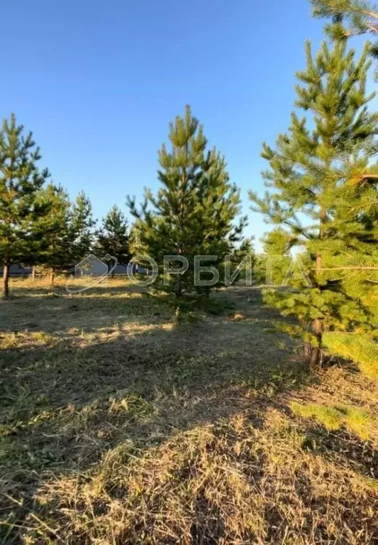 Участок в Тюменская область, Тюменский муниципальный округ, д. ... - Фото 1