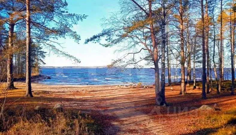 Участок в Новосибирская область, Новосибирск  (10.0 сот.) - Фото 1