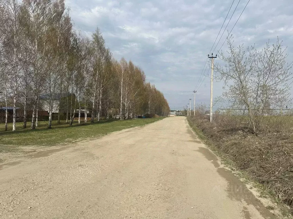 Участок в Свердловская область, Белоярский городской округ, д. Гусева  ... - Фото 1