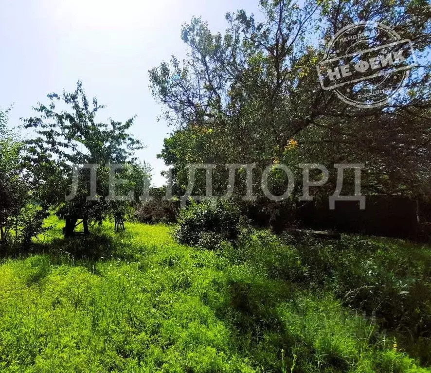 Участок в Ростовская область, Родионово-Несветайский район, ... - Фото 1