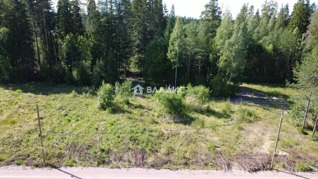 Участок в Ленинградская область, Выборгский район, Рощино городской ... - Фото 1