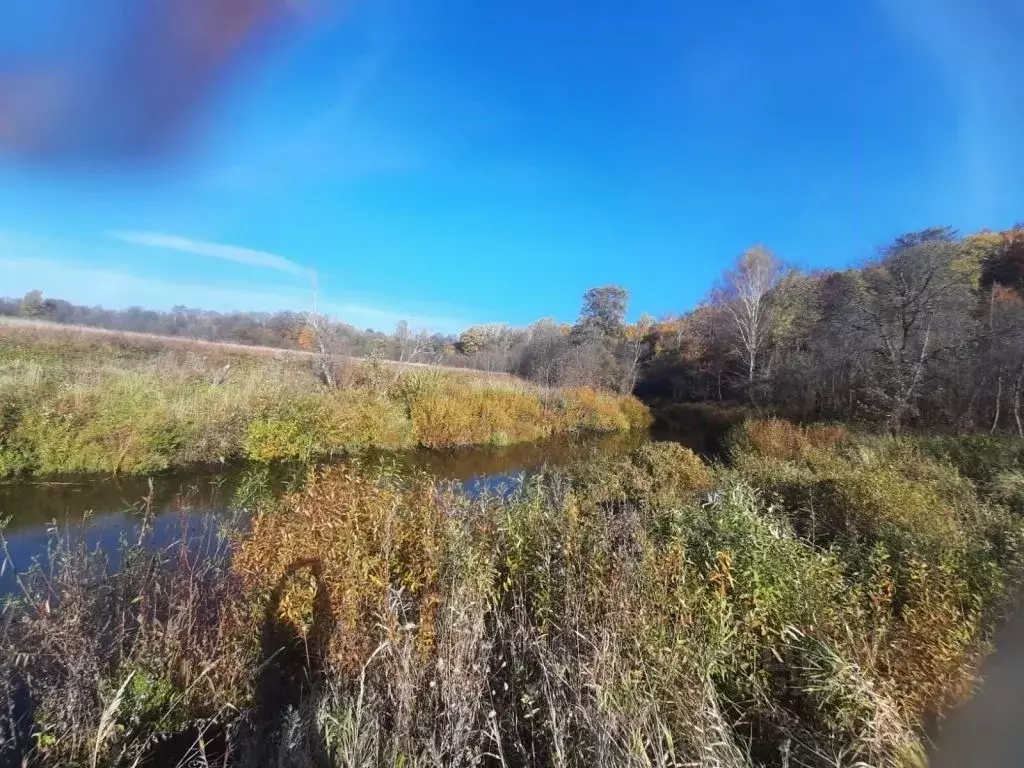 Участок в Костромская область, Красносельский район, Шолоховское ... - Фото 1
