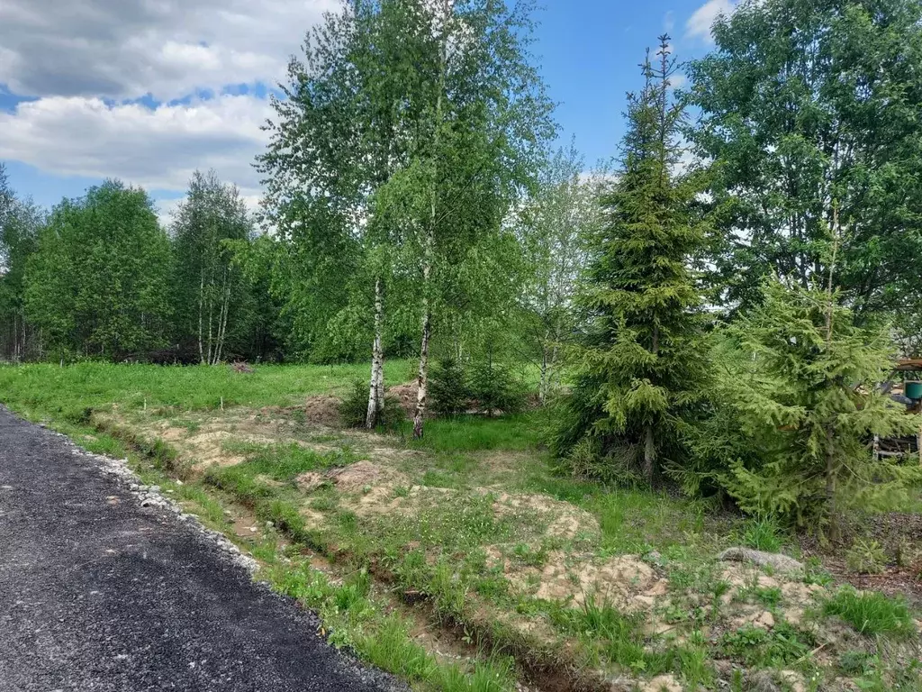 Участок в Московская область, Дмитровский муниципальный округ, пос. ... - Фото 1