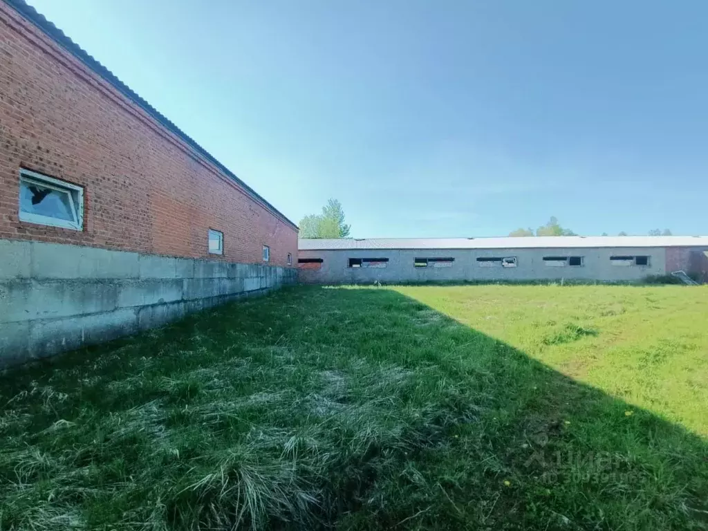 Производственное помещение в Московская область, Талдомский городской ... - Фото 2