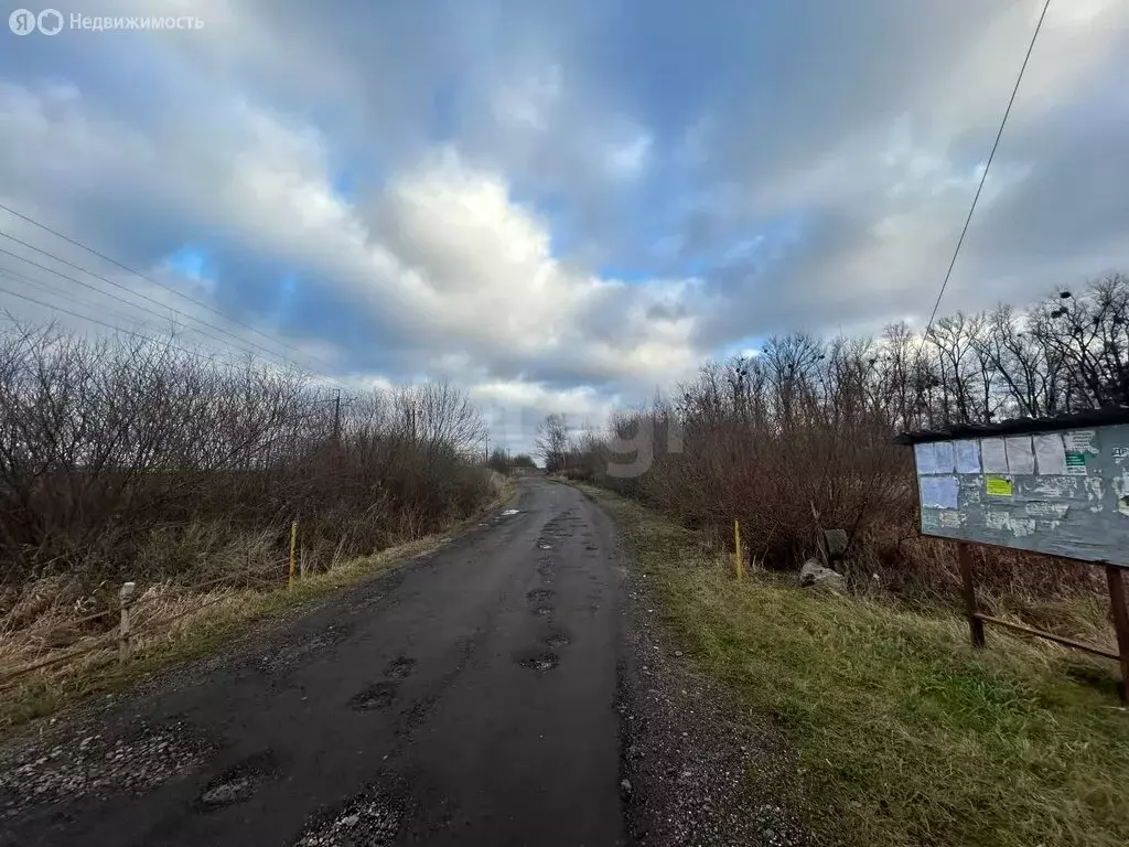 Участок в Калининград, СНТ Родник, Ручейная улица (11.96 м) - Фото 2