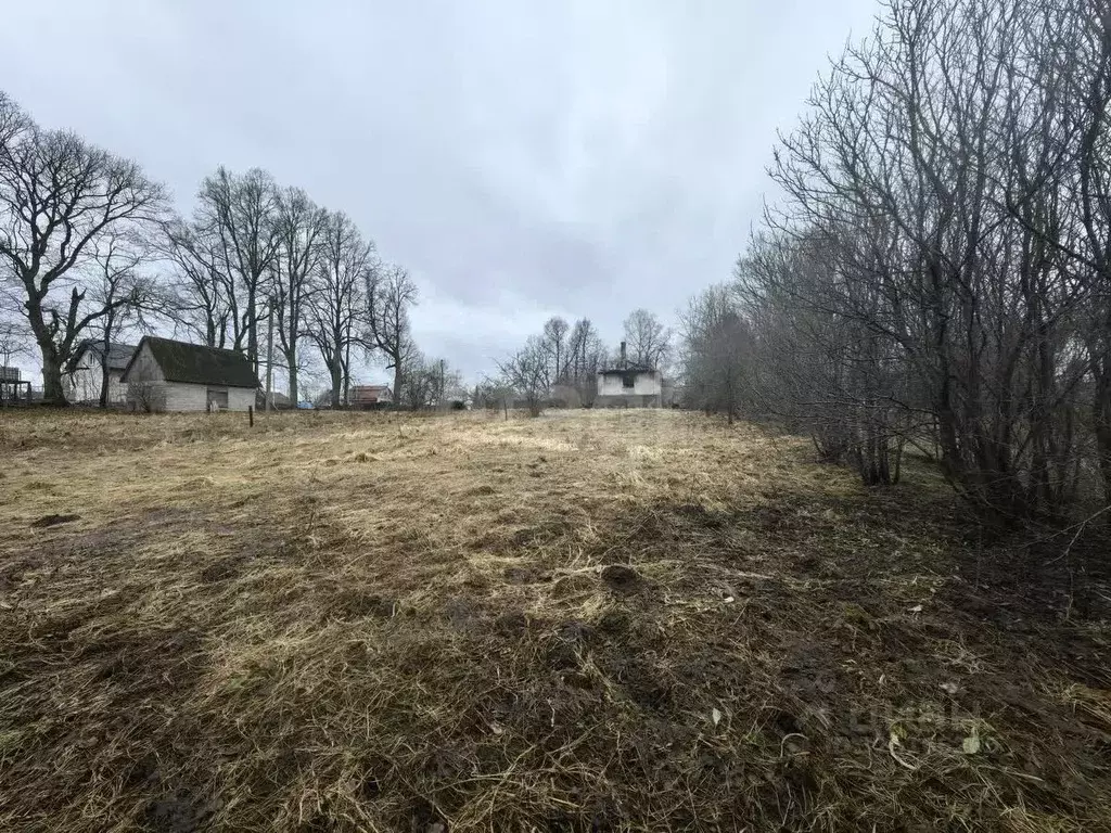 Участок в Смоленская область, Смоленский муниципальный округ, д. ... - Фото 1