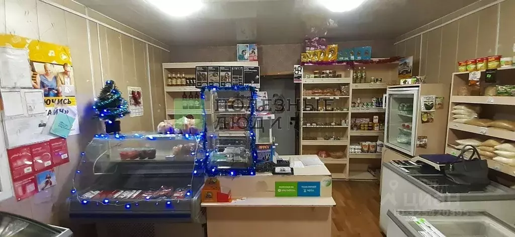 Торговая площадь в Курганская область, Кетовский муниципальный округ, ... - Фото 2