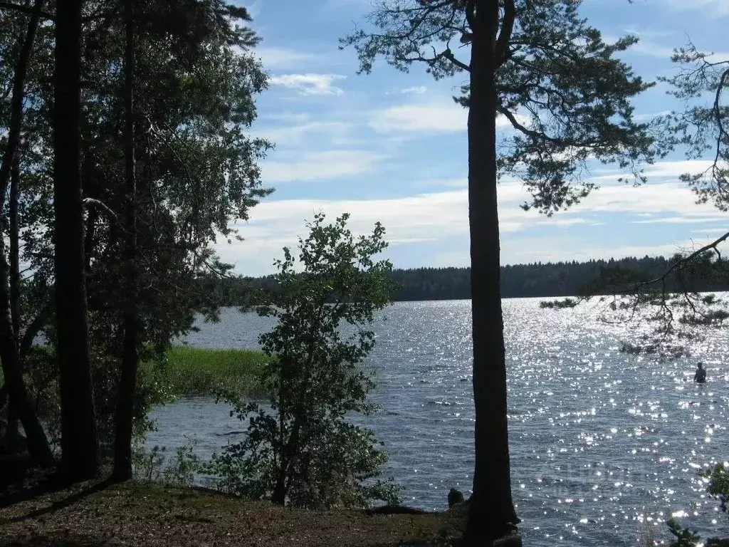 2-к кв. Ленинградская область, Выборгский район, Приморское городское ... - Фото 2