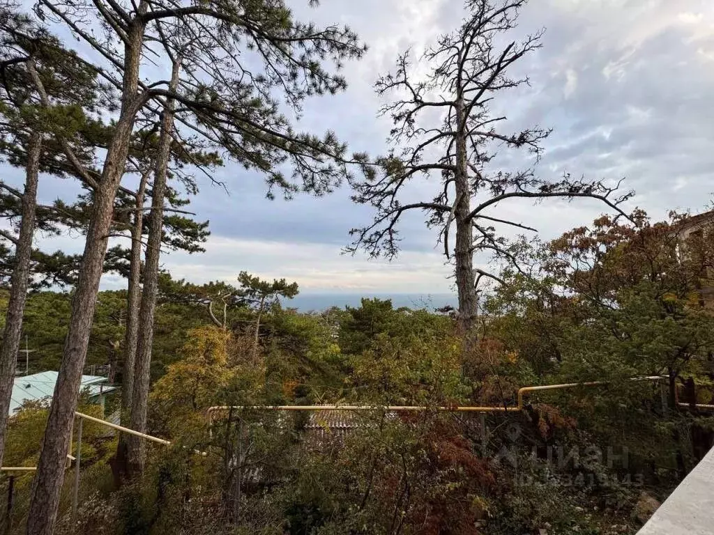 Дом в Крым, Ялта муниципальный округ, Восход пгт ул. Наташинская, 1 ... - Фото 2