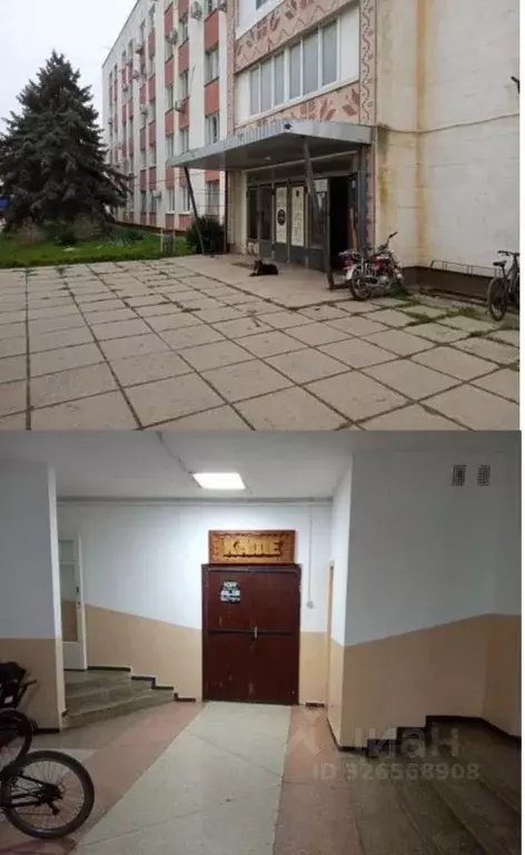 Помещение свободного назначения в Крым, Сакский район, с. Фрунзе  (112 ... - Фото 1