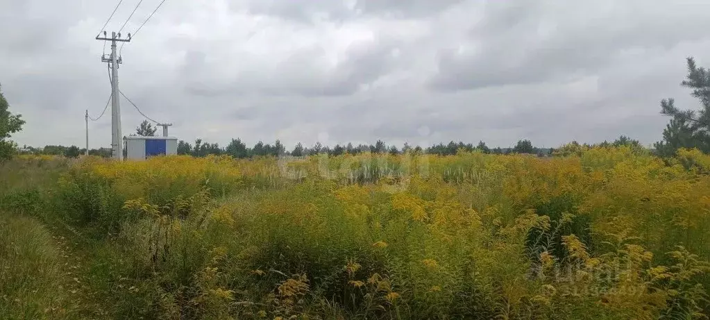 Участок в Брянская область, Карачев Западный мкр,  (1193.0 сот.) - Фото 2